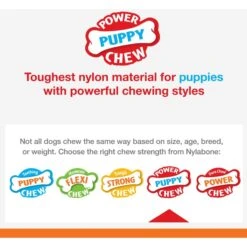 Nylabone Puppy Power Chew Teething Toy Rings Dogs Bacon Yellow -Blue Buffalo Shop 54231 PT4. AC SS1800 V1658762094