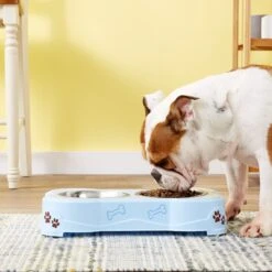 Loving Pets Dolce Double Diner Pet Dish, Murano 7 Loving Pets Dolce Double Diner Pet Dish, Murano -Blue Buffalo Shop 54522 PT1. AC SS1800 V1545257707