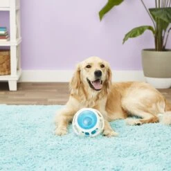 JW Pet Rockin Treat Ball -Blue Buffalo Shop 55169 PT2. AC SS1800 V1530541353