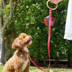 Shaya Pets Sasha Leather Leash 9 Shaya Pets Sasha Leather Leash -Blue Buffalo Shop 557638 PT3. AC SS1800 V1657659537