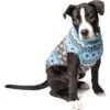 Chilly Dog Fairisle Wool Dog Sweater, Blue -Blue Buffalo Shop 577734 MAIN. AC SS1800 V1658518970