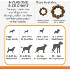 Nylabone Power Chew Textured Dog Chew Ring Toy Flavor Medley -Blue Buffalo Shop 57963 PT4. AC SS1800 V1692211201
