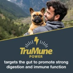 Black Gold Explorer Super Performance Formula 32/21 Dry Dog Food, 40-lb Bag -Blue Buffalo Shop 579774 PT1. AC SS1800 V1658201861