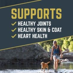 Black Gold Explorer Super Performance Formula 32/21 Dry Dog Food, 40-lb Bag -Blue Buffalo Shop 579774 PT2. AC SS1800 V1658189062