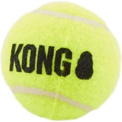 KONG Squeakair Balls Packs Dog Toy 14 KONG Squeakair Balls Packs Dog Toy -Blue Buffalo Shop 59143 PT5. AC SS1800 V1603148181