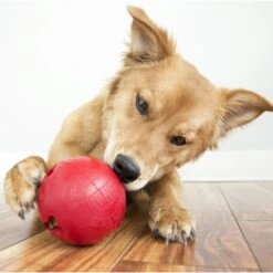 KONG Classic Biscuit Ball Dog Toy -Blue Buffalo Shop 59149 PT4. AC SS1800 V1603166792