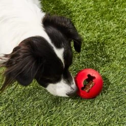 KONG Classic Biscuit Ball Dog Toy -Blue Buffalo Shop 59149 PT5. AC SS1800 V1603160486