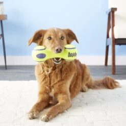 KONG AirDog Dumbbell Dog Toy -Blue Buffalo Shop 59301 PT3. AC SS1800 V1603145483