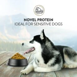 Addiction Perfect Summer Brushtail Raw Dehydrated Dog Food 15 Addiction Perfect Summer Brushtail Raw Dehydrated Dog Food -Blue Buffalo Shop 60120 PT4. AC SS1800 V1637709995