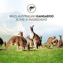 Addiction Outback Kangaroo Feast Raw Dehydrated Dog Food 14 Addiction Outback Kangaroo Feast Raw Dehydrated Dog Food -Blue Buffalo Shop 60124 PT3. AC SS1800 V1637709733