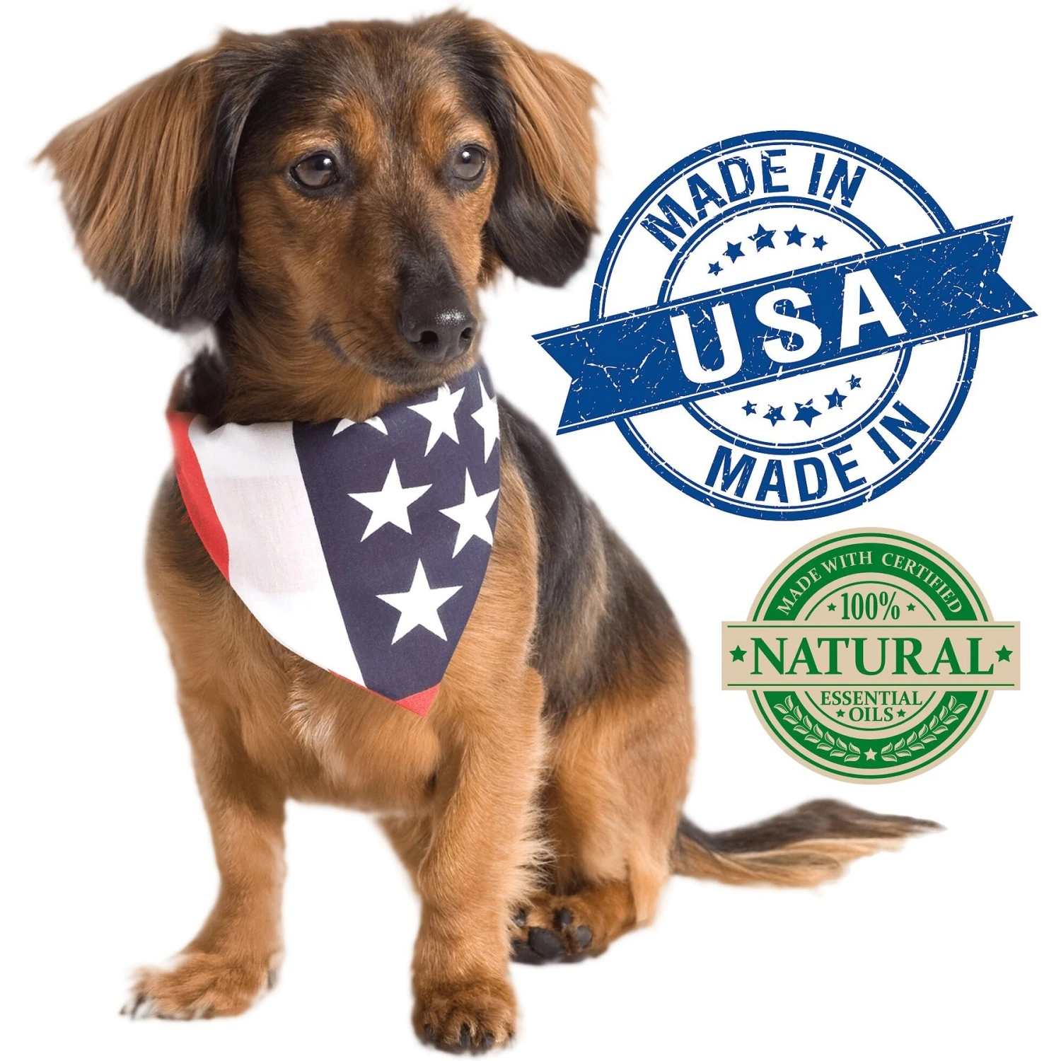 Vet's Best Anti-Flea Easy Spray Shampoo For Dogs 5 Vet's Best Anti-Flea Easy Spray Shampoo For Dogs - Image 3