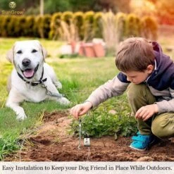 SunGrow Dog Tie Out Cable Stake, Escape Proof For Outside Training & Camping Gear -Blue Buffalo Shop 604502 PT5. AC SS1800 V1676384453