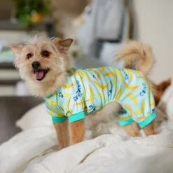 Frisco Go Bananas Dog & Cat Jersey PJs 12 Frisco Go Bananas Dog & Cat Jersey PJs -Blue Buffalo Shop 608998 PT6. AC SS1800 V1676642341