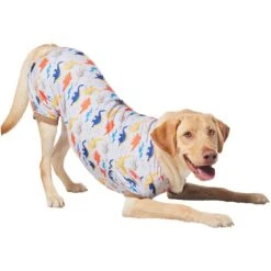 Frisco Dinosaur Dog & Cat Jersey PJs -Blue Buffalo Shop 609062 PT4. AC SS1800 V1681488688