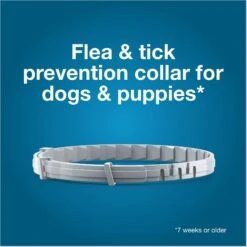 Seresto Flea & Tick Collar For Dogs, Up To 18 Lbs -Blue Buffalo Shop 61517 PT3. AC SS1800 V1683653686