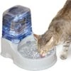 K&H Pet Products CleanFlow Filtered Water Dog Bowl, Small, 80-oz Bowl + 90-oz Reservoir -Blue Buffalo Shop 61705 MAIN. AC SS1800 V1637628248