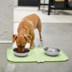 STAR WARS THE MANDALORIAN GROGU Nom Nom Silicone Dog & Cat Food Mat & STAR WARS THE MANDALORIAN GROGU AUREBESH Non-Skid Stainless Steel With Melamine Stand Dog & Cat Bowl -Blue Buffalo Shop 623374 PT3. AC SS1800 V1661896440