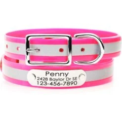 Mimi Green Waterproof Reflective With Riveted Name Plate Dog Collar
