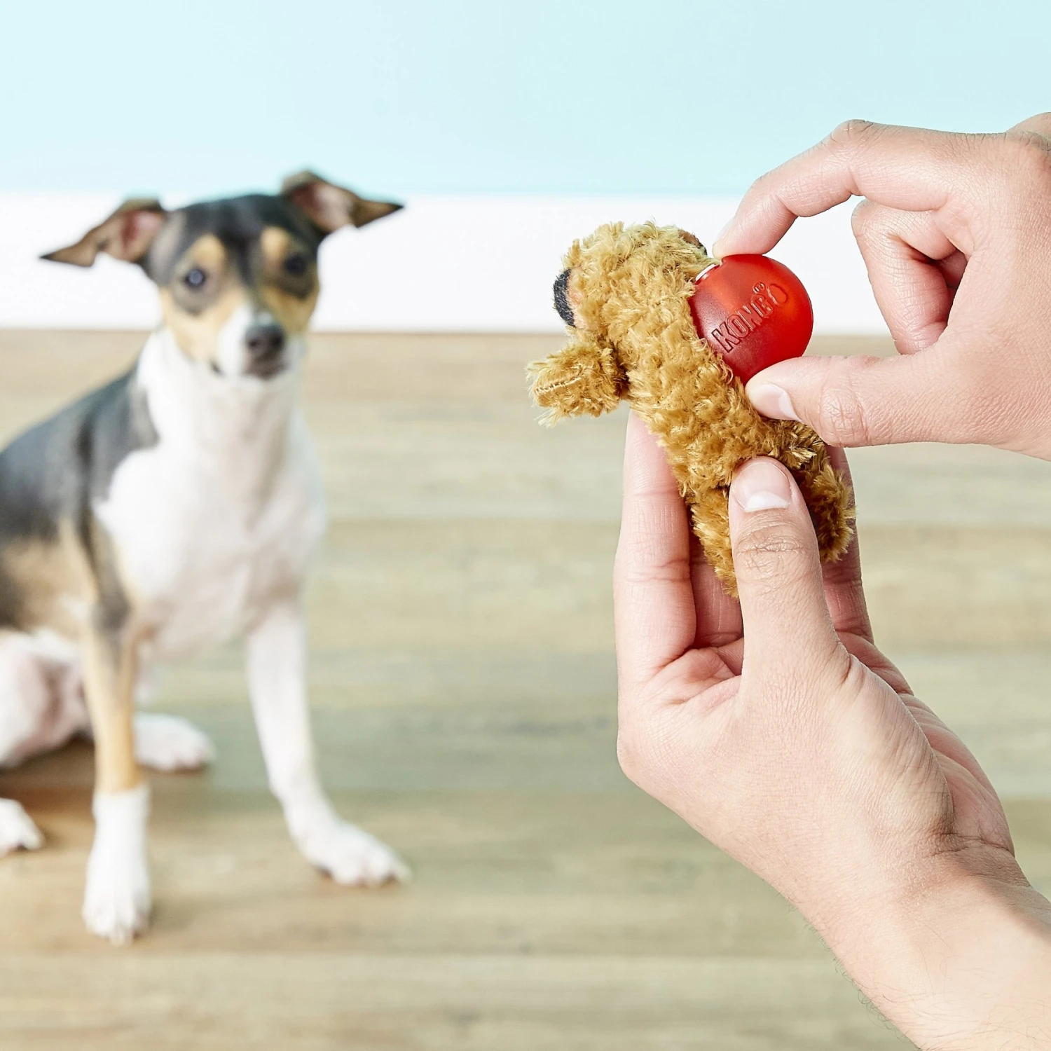 KONG Squeaker Refills 6 KONG Squeaker Refills - Image 4