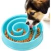 SunGrow Puzzle Cat, Dog & Small-Pet Maze Feeder & Water Bowl -Blue Buffalo Shop 629262 MAIN. AC SS1800 V1678828133