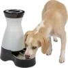 PetSafe Healthy Gravity Refill Dog & Cat Waterer -Blue Buffalo Shop 63119 MAIN. AC SS1800 V1676384441