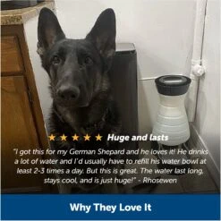 PetSafe Healthy Gravity Refill Dog & Cat Waterer -Blue Buffalo Shop 63119 PT5. AC SS1800 V1676398827