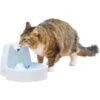 PetSafe Drinkwell Original Plastic Dog & Cat Fountain -Blue Buffalo Shop 63136 MAIN. AC SS1800 V1590606691