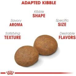 Royal Canin Size Health Nutrition Large Adult 5+ Dry Dog Food -Blue Buffalo Shop 63336 PT3. AC SS1800 V1697655132