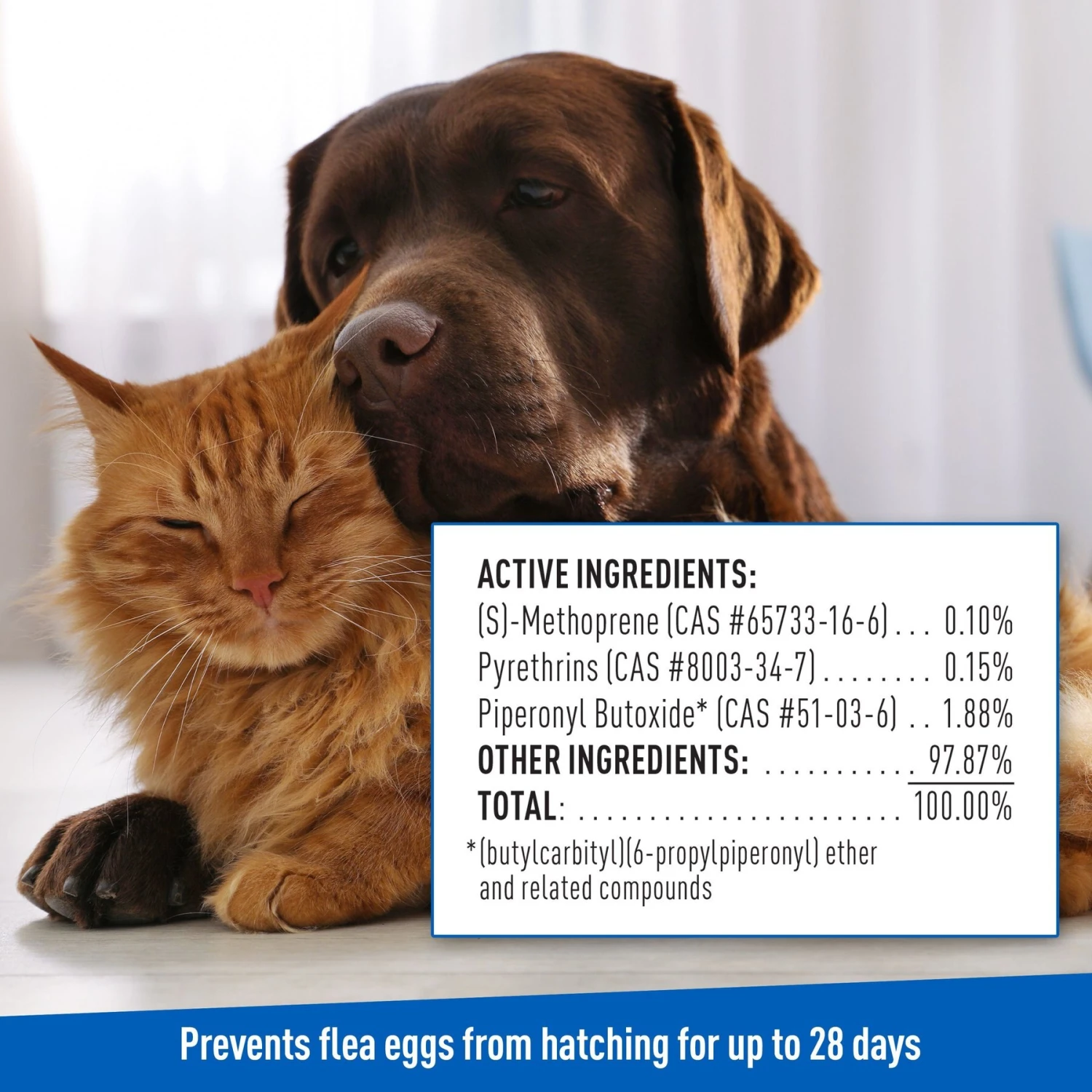 Adams® Adams Plus Flea & Tick Shampoo With Precor + 2 Items 5 Adams® Adams Plus Flea & Tick Shampoo With Precor + 2 Items - Image 3