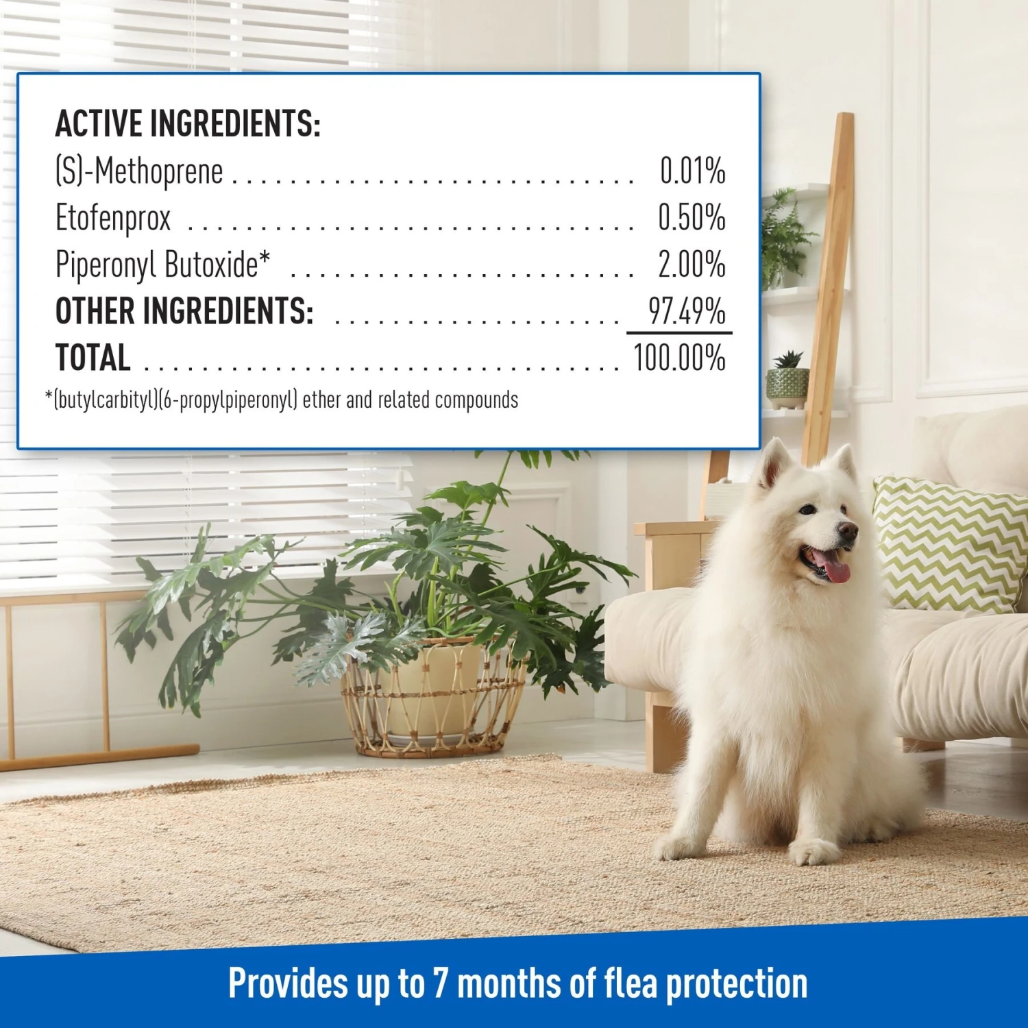 Adams® Adams Flea & Tick Carpet Powder + 2 Items 11 Adams® Adams Flea & Tick Carpet Powder + 2 Items - Image 9