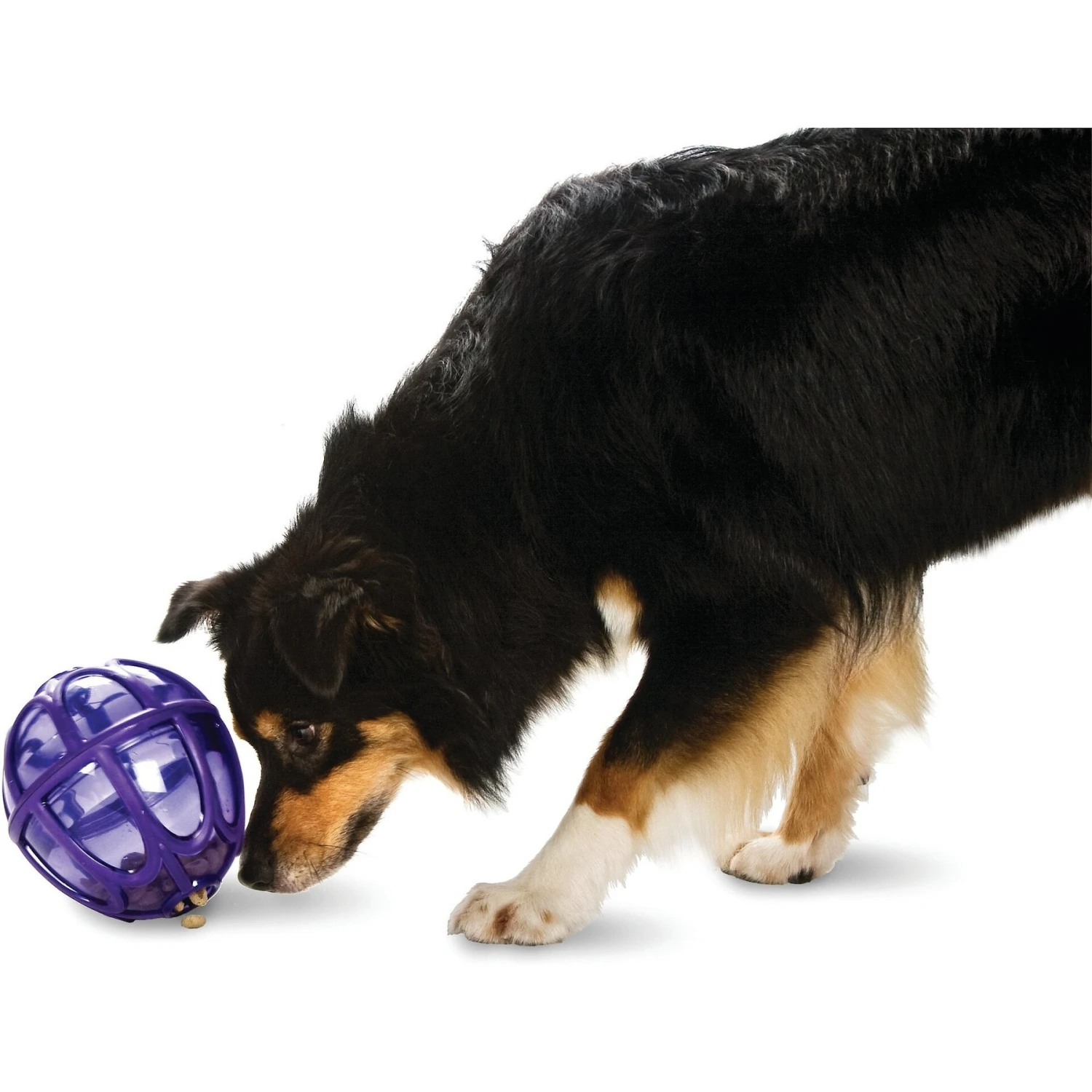 PetSafe Busy Buddy Kibble Nibble Treat Dispenser Dog Toy 5 PetSafe Busy Buddy Kibble Nibble Treat Dispenser Dog Toy - Image 3