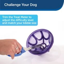 PetSafe Busy Buddy Kibble Nibble Treat Dispenser Dog Toy 14 PetSafe Busy Buddy Kibble Nibble Treat Dispenser Dog Toy -Blue Buffalo Shop 63854 PT6. AC SS1800 V1602306659