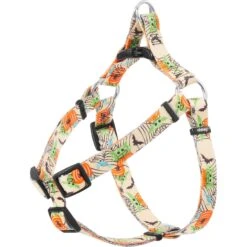 STAR WARS THE MANDALORIAN GROGU Pumpkin Dog Harness & STAR WARS THE MANDALORIAN GROGU Pumpkin Dog Leash -Blue Buffalo Shop 638670 PT1. AC SS1800 V1697412170