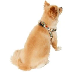 STAR WARS THE MANDALORIAN GROGU Pumpkin Dog Harness & STAR WARS THE MANDALORIAN GROGU Pumpkin Dog Leash -Blue Buffalo Shop 638670 PT4. AC SS1800 V1663254702