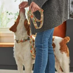 STAR WARS THE MANDALORIAN GROGU Pumpkin Dog Harness & STAR WARS THE MANDALORIAN GROGU Pumpkin Dog Leash -Blue Buffalo Shop 638670 PT8. AC SS1800 V1663254514