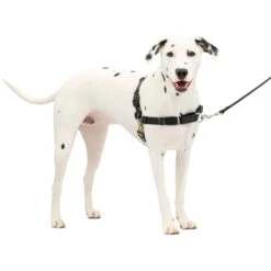 PetSafe Easy Walk Dog Harness -Blue Buffalo Shop 63959 PT6. AC SS1800 V1669143615