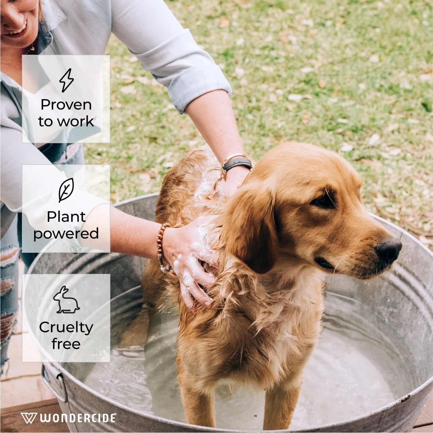 Wondercide Flea & Tick Peppermint Cat & Dog Shampoo, 12-oz Bottle 4 Wondercide Flea & Tick Peppermint Cat & Dog Shampoo, 12-oz Bottle - Image 2