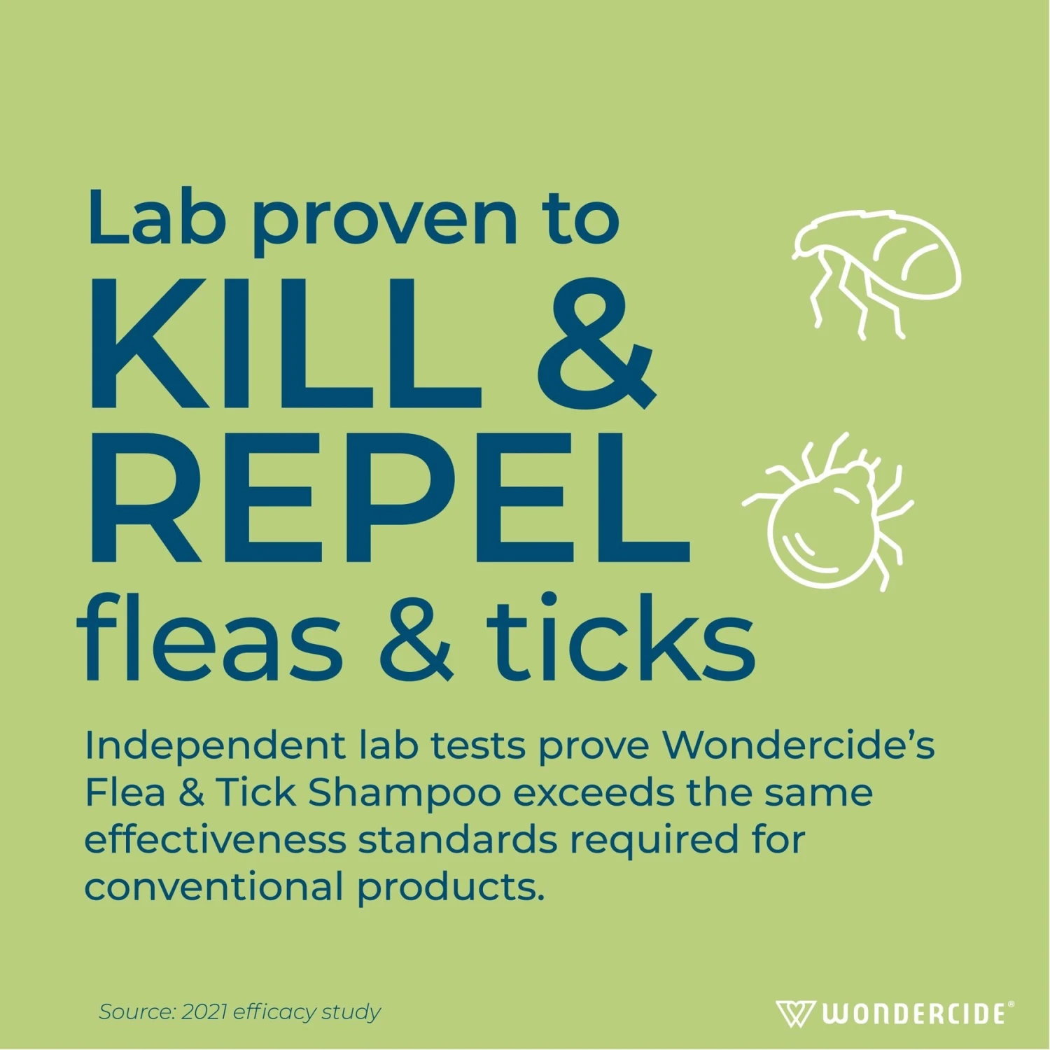 Wondercide Flea & Tick Peppermint Cat & Dog Shampoo, 12-oz Bottle 5 Wondercide Flea & Tick Peppermint Cat & Dog Shampoo, 12-oz Bottle - Image 3