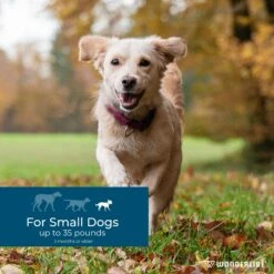 Wondercide Spot-On Peppermint Flea & Tick Spot Treatment For Small Dogs, 3 Doses (3-mos. Supply) 11 Wondercide Spot-On Peppermint Flea & Tick Spot Treatment For Small Dogs, 3 Doses (3-mos. Supply) -Blue Buffalo Shop 639694 PT3. AC SS1800 V1665779483