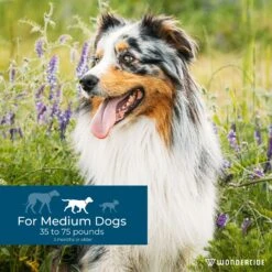 Wondercide Spot-On Peppermint Flea & Tick Spot Treatment For Medium Dogs, 3 Doses (3-mos. Supply) -Blue Buffalo Shop 639710 PT3. AC SS1800 V1665782185