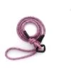Euro-Dog 6-ft Mountain Blush Climbing Rope Dog Leash, Mountain Blush