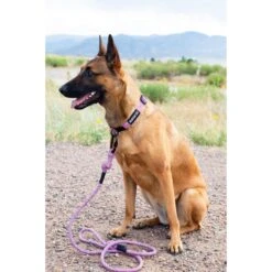 Euro-Dog 6-ft Mountain Blush Climbing Rope Dog Leash, Mountain Blush -Blue Buffalo Shop 641158 PT2. AC SS1800 V1663018495