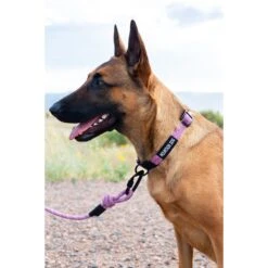 Euro-Dog 6-ft Mountain Blush Climbing Rope Dog Leash, Mountain Blush -Blue Buffalo Shop 641158 PT3. AC SS1800 V1663018918