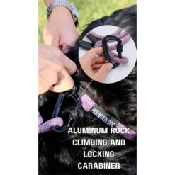 Euro-Dog 6-ft Mountain Blush Climbing Rope Dog Leash, Mountain Blush -Blue Buffalo Shop 641158 PT6. AC SS1800 V1663018939