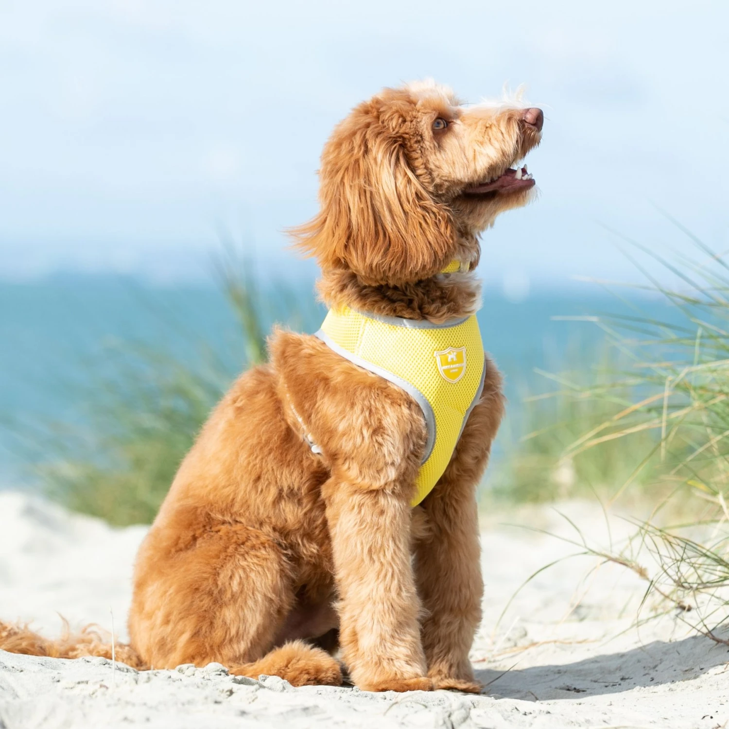 HUGO & HUDSON Mesh Dog Harness 4 HUGO & HUDSON Mesh Dog Harness - Image 2