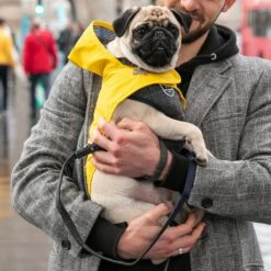HUGO & HUDSON Checked Herringbone Tweed Dog Harness -Blue Buffalo Shop 643678 PT5. AC SS1800 V1663345440