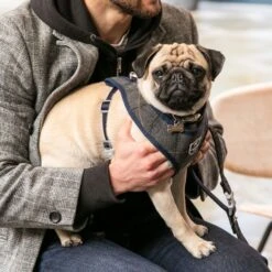 HUGO & HUDSON Checked Herringbone Tweed Dog Harness -Blue Buffalo Shop 643678 PT6. AC SS1800 V1663360232