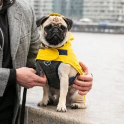 HUGO & HUDSON Checked Herringbone Tweed Dog Harness -Blue Buffalo Shop 643678 PT7. AC SS1800 V1663710952