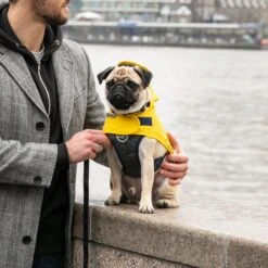 HUGO & HUDSON Checked Herringbone Tweed Dog Harness -Blue Buffalo Shop 643678 PT8. AC SS1800 V1663713841