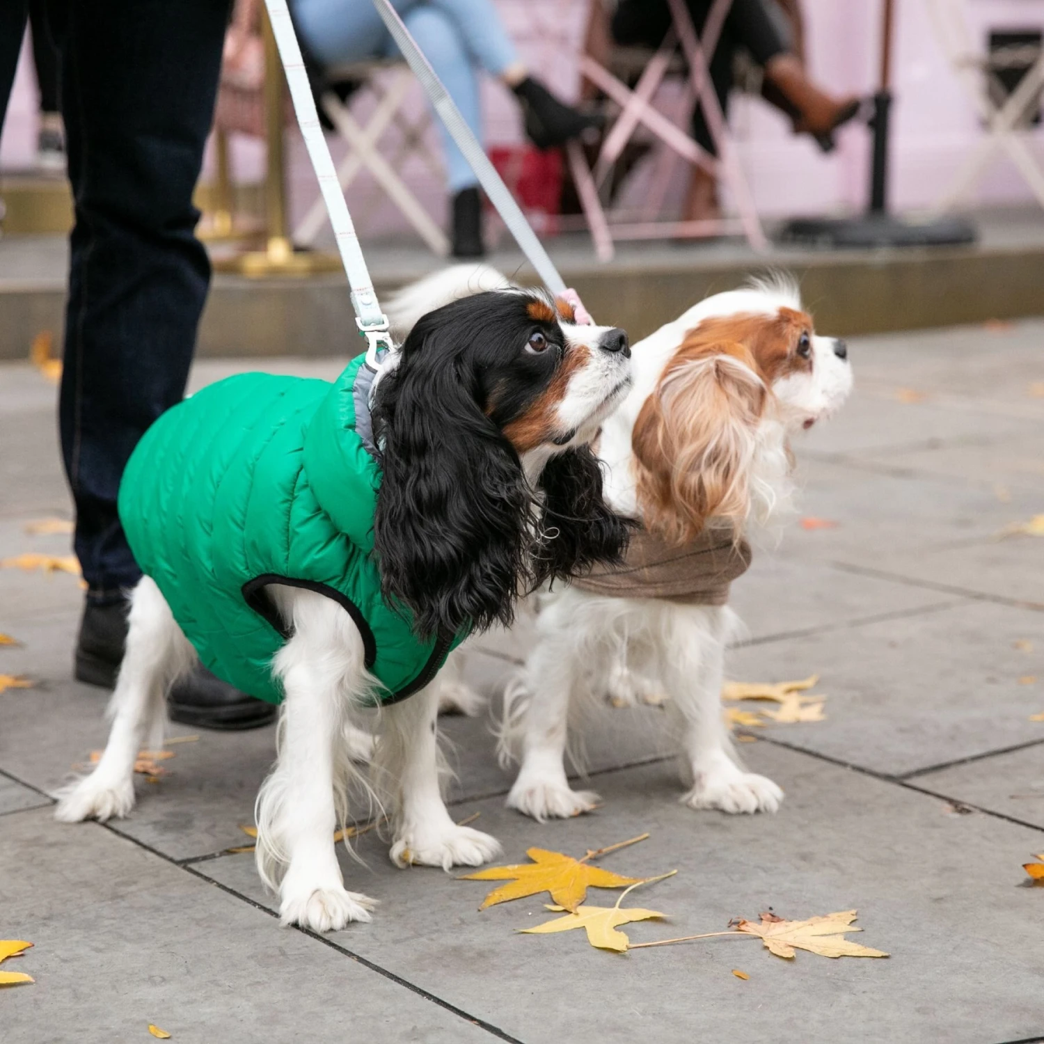 HUGO & HUDSON Checked Tweed Dog Leash 9 HUGO & HUDSON Checked Tweed Dog Leash - Image 7